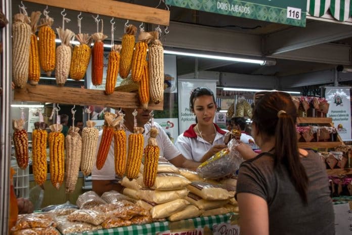 Agricultura familiar em destaque: Expointer 2025 terá participação recorde de empreendimentos rurais