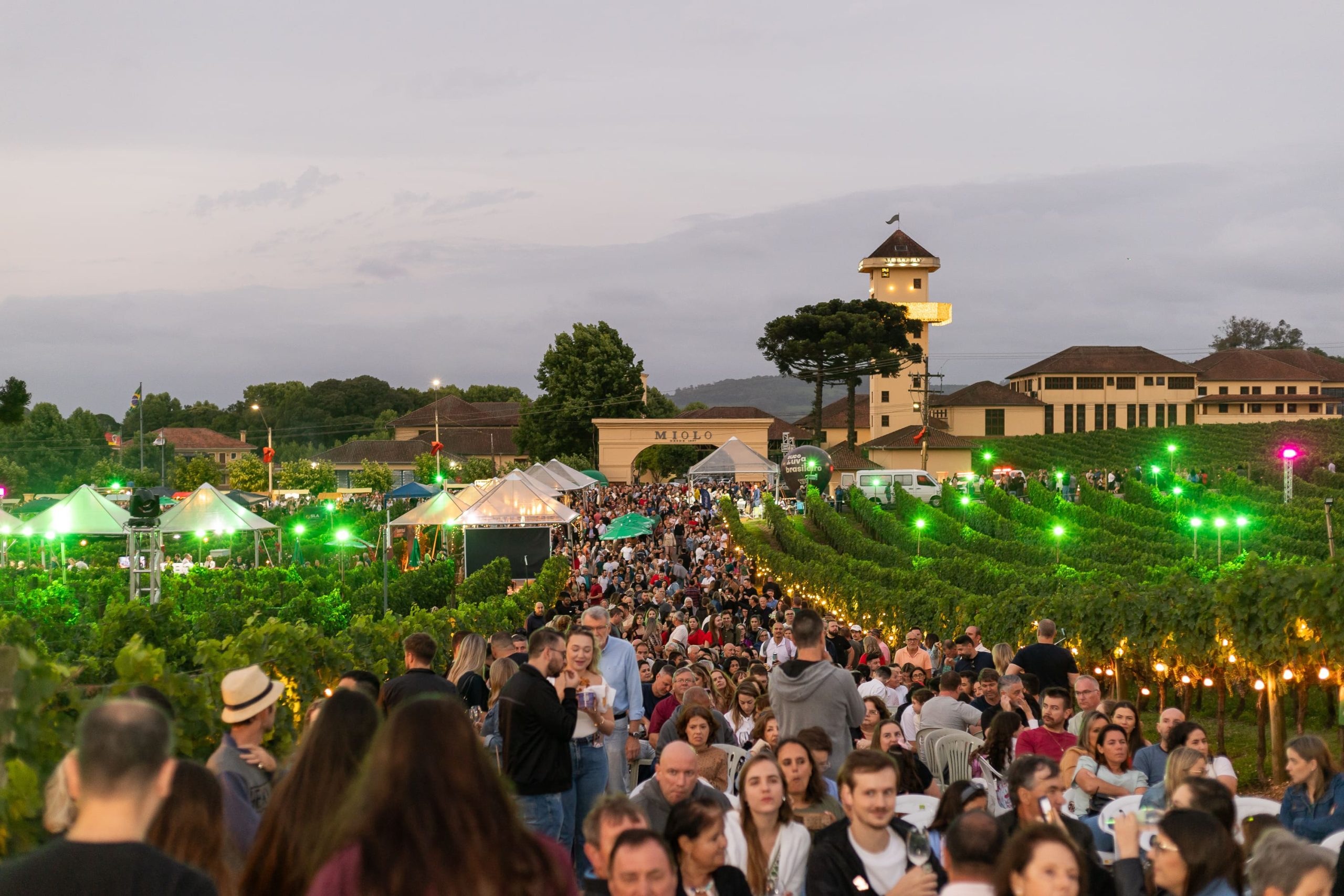 Natal nos Vinhedos abre programação de 2025 nesta sexta-feira - Créditos: Rodi Goulart
