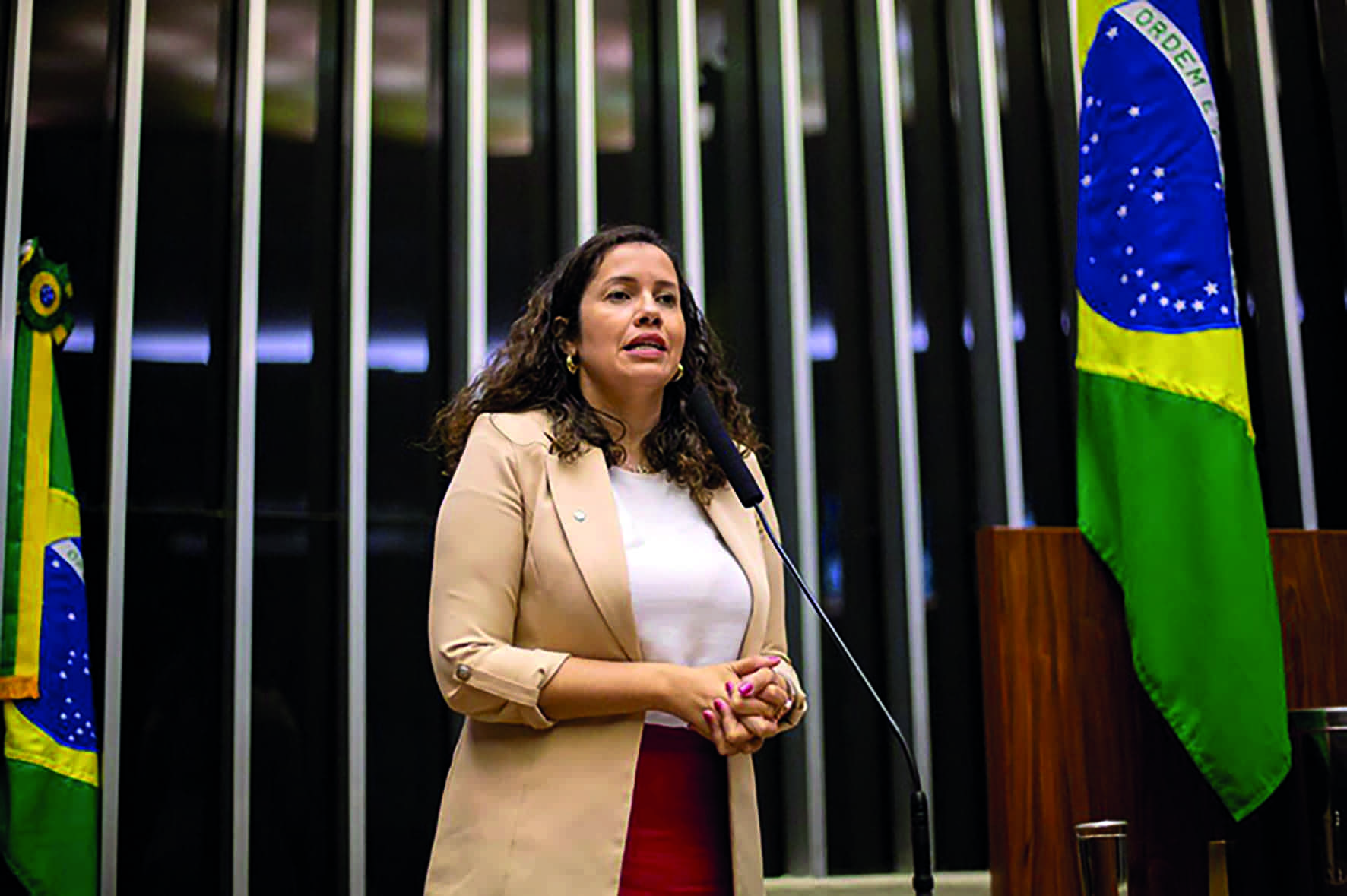 Articulação de Denise Pessôa garante prorrogação de normativa do trabalho temporário agrícola de imigrantes até 2026 - Créditos: Divulgação