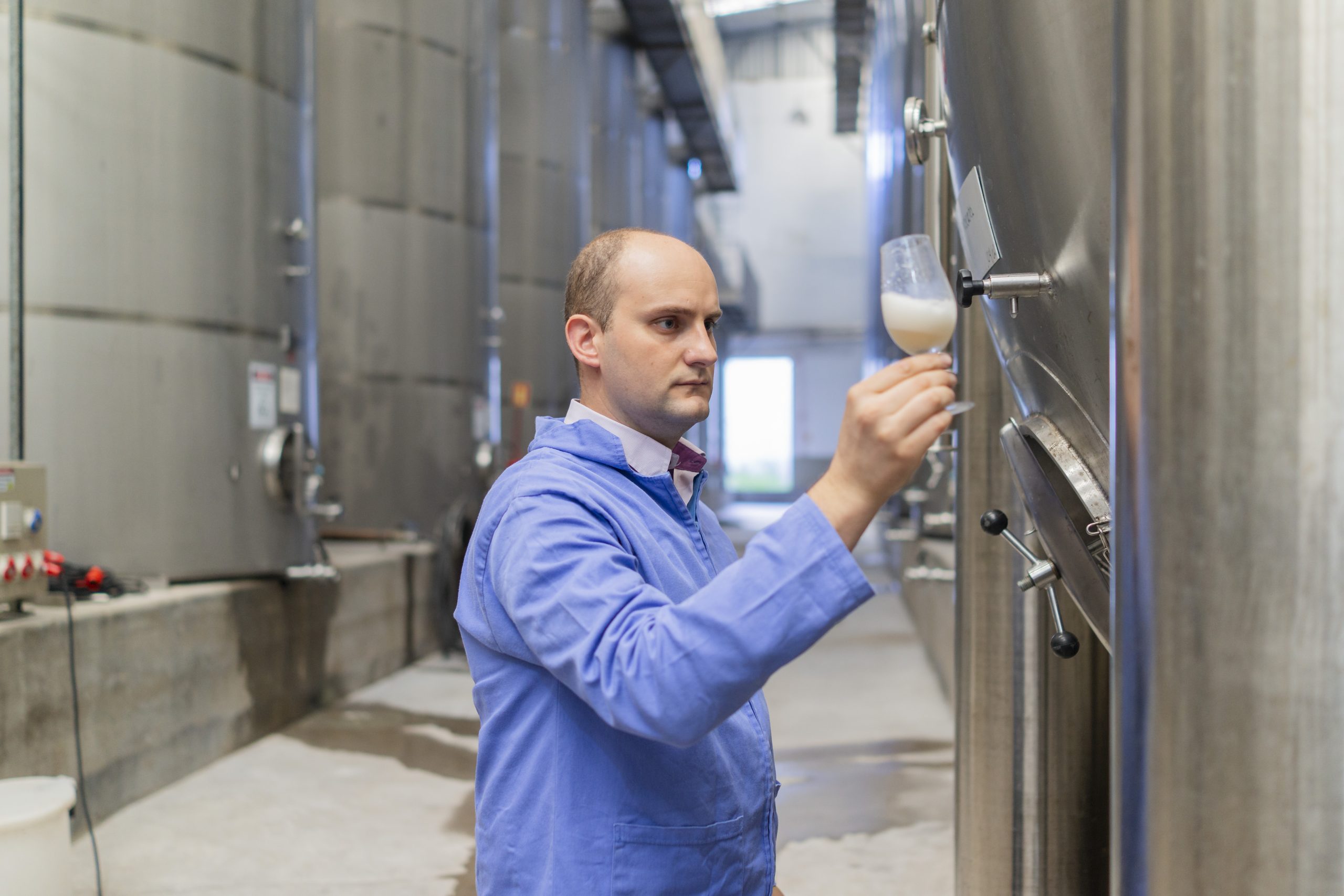 Cooperativa Vinícola Garibaldi apresenta vinhos que podem pautar o futuro do setor