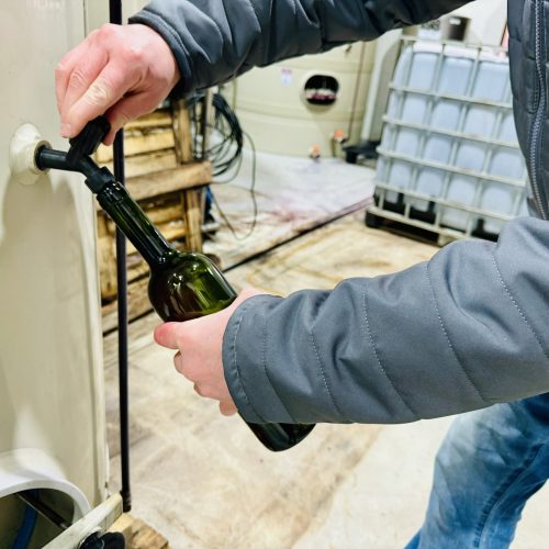 Inscrições abertas para a 24ª Seleção dos Melhores Vinhos, Espumantes e Sucos de Uva de Garibaldi