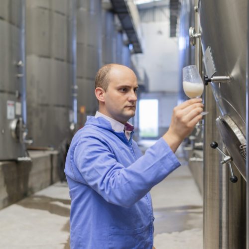 Cooperativa Vinícola Garibaldi apresenta vinhos que podem pautar o futuro do setor