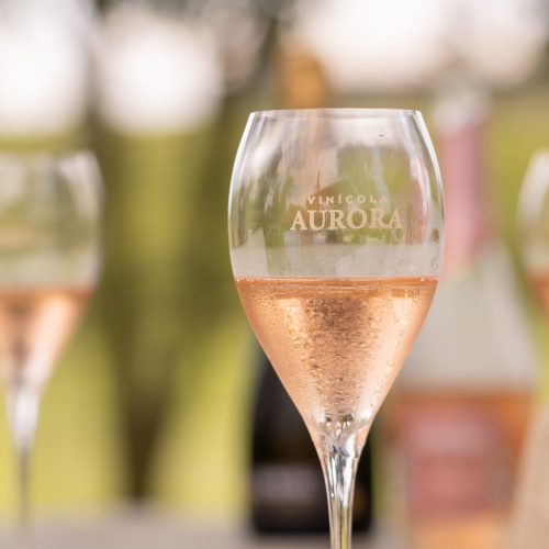 Cooperativa Vinícola Aurora ultrapassa 1.000 medalhas e reforça protagonismo do vinho brasileiro
